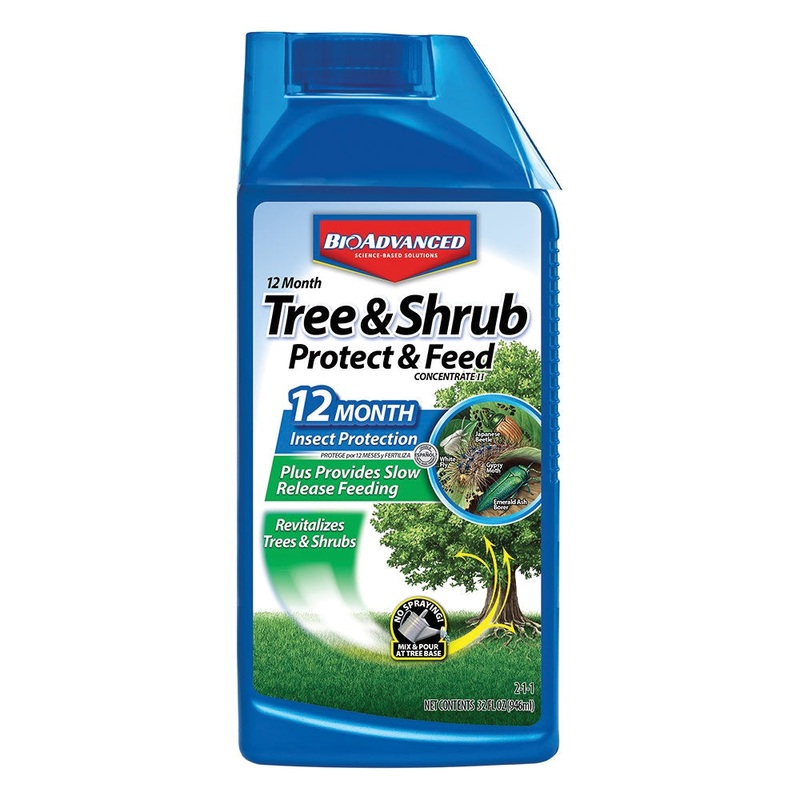 BIOADVANCED 28701810 Tree and Shrub Protect and Feed Concentrate, Outdoor, 32 oz, Bottle