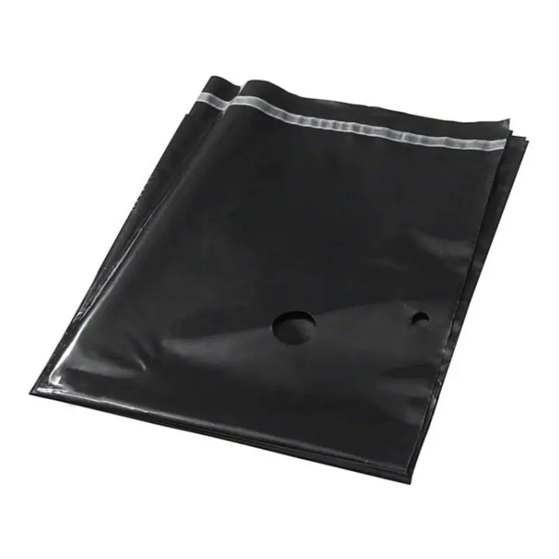 Bosch Disposal bag GAS 35 + 55