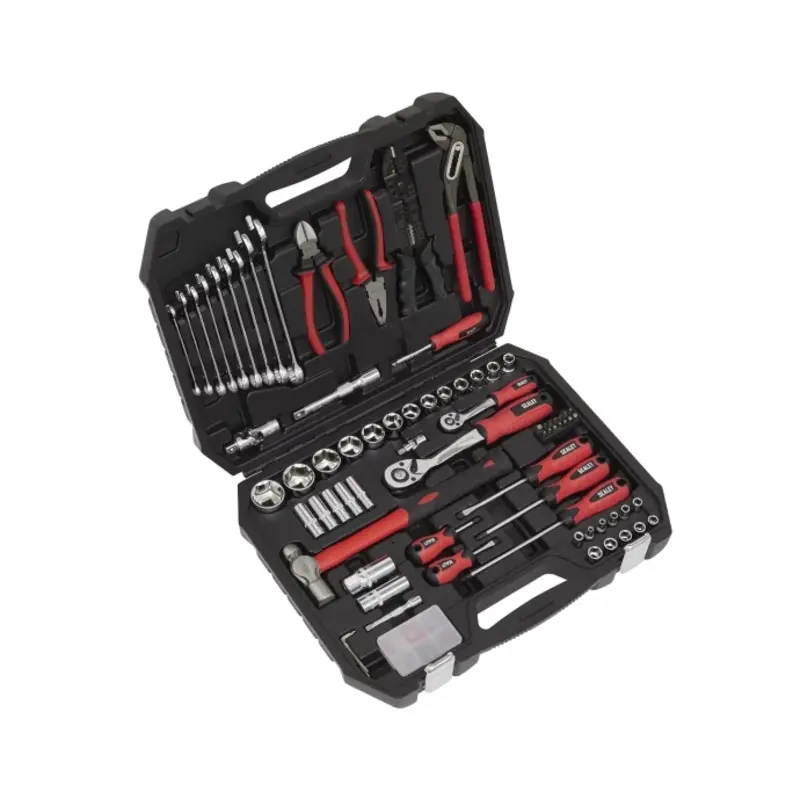 Sealey Mechanic's Tool Kit 100pc